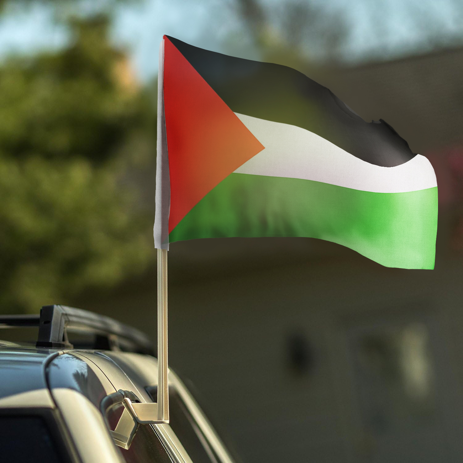 Clip On Flag Scene – Palestine 2
